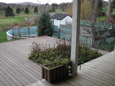 Vue de la terrasse (c'est l'automne...)